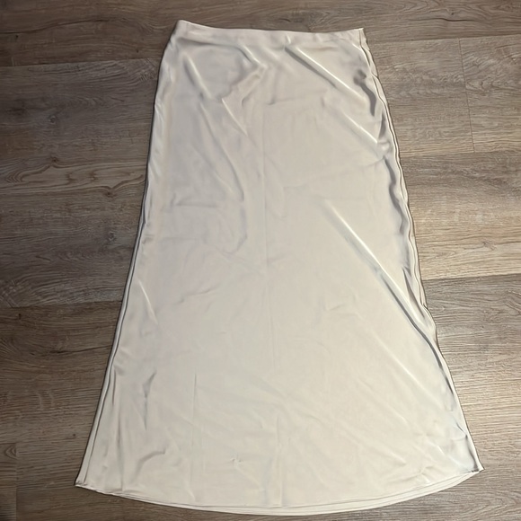 Zara Saturn Effect Midi Skirt - Soft Gold, Small - Picture 4 of 4